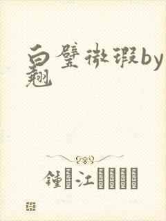 白璧微瑕by连翘