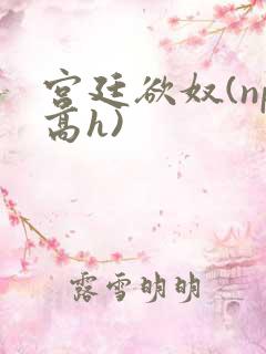 宫廷欲奴(np高h)