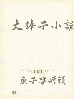 大棒子小说