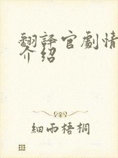 翻译官剧情分集介绍