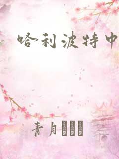 哈利波特中文版