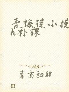 青梅从小摸到大h补课