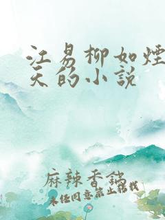 江易柳如烟秦少天的小说