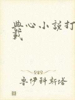 典心小说打包下载