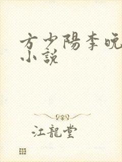 方少阳李晚晴的小说