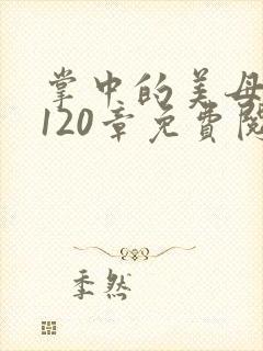 掌中的美母版主120章免费阅读