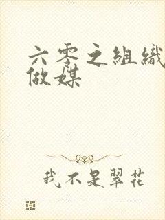 六零之组织给我做媒