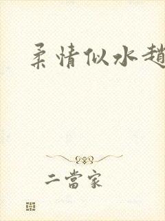 柔情似水赵雅儿