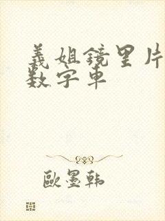 义姐镜里片微博数字车