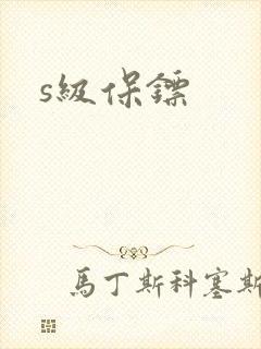 s级保镖