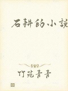 石耕的小说