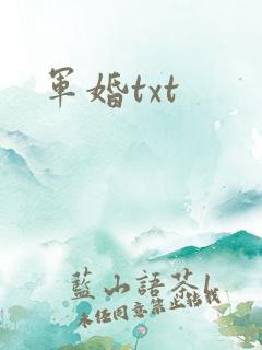军婚txt