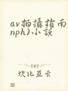 av拍摄指南(nph)小说