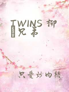 TWINS 柳澤兄弟