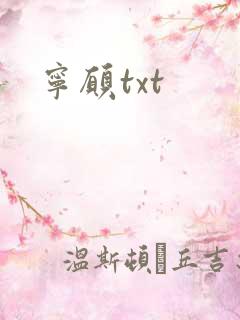 宁愿txt