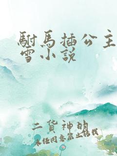 驸马插公主恋战雪小说