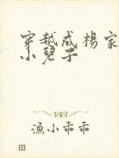 穿越成杨家将最小儿子