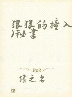 狠狠的撞入(h)秘书