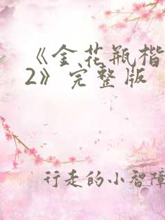 《金花瓶楷梅花2》完整版