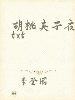 胡桃夹子夜未眠txt