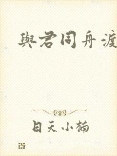 与君同舟渡小说