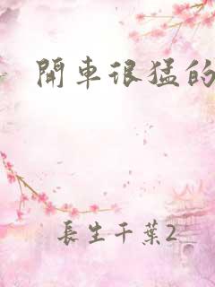 开车很猛的古文