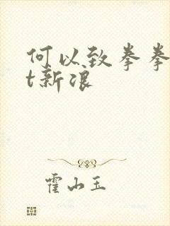 何以致拳拳txt新浪