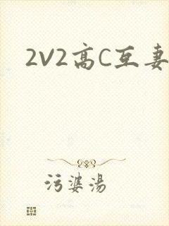 2V2高C互妻