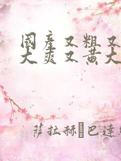 国产又粗又猛又大爽又黄大爷