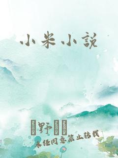 小米小说