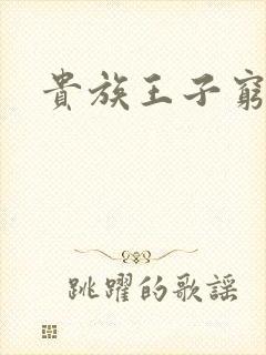 贵族王子穷公主