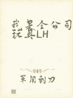 我是全公司发泄玩具LH