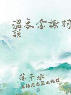 温衣念谢羽渊小说