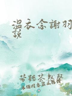 温衣念谢羽渊小说