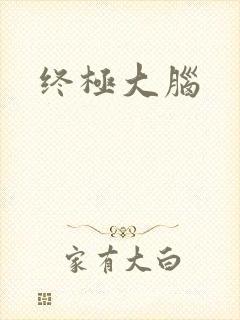终极大脑