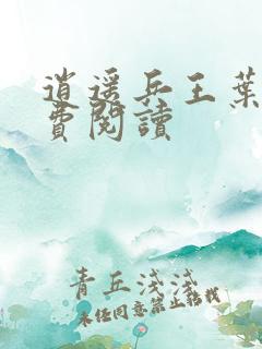 逍遥兵王叶成免费阅读