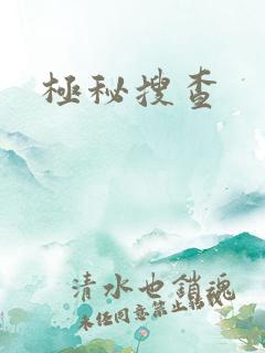 极秘搜查