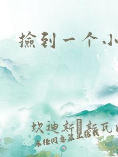 捡到一个小妖精