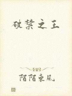 破禁之王