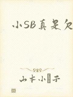 小SB真是欠C