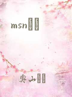 msnС˵