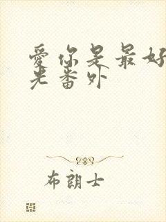 爱你是最好的时光番外