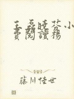 王磊晓芬小说免费阅读杨