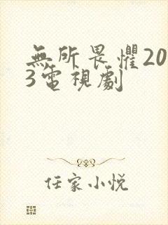 无所畏惧2023电视剧