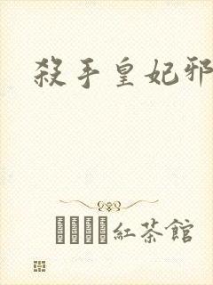 杀手皇妃邪魅帝