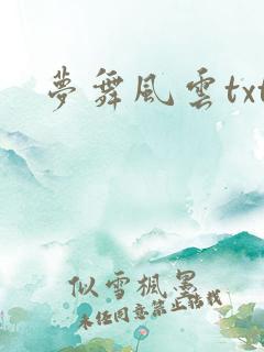 梦舞风云txt