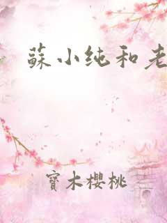 苏小纯和老苏