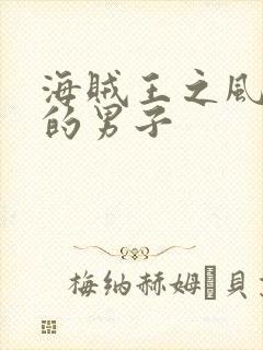 海贼王之风一样的男子