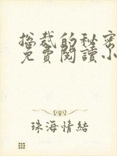 总裁的秘密情人免费阅读小说