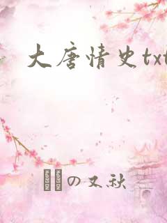 大唐情史txt